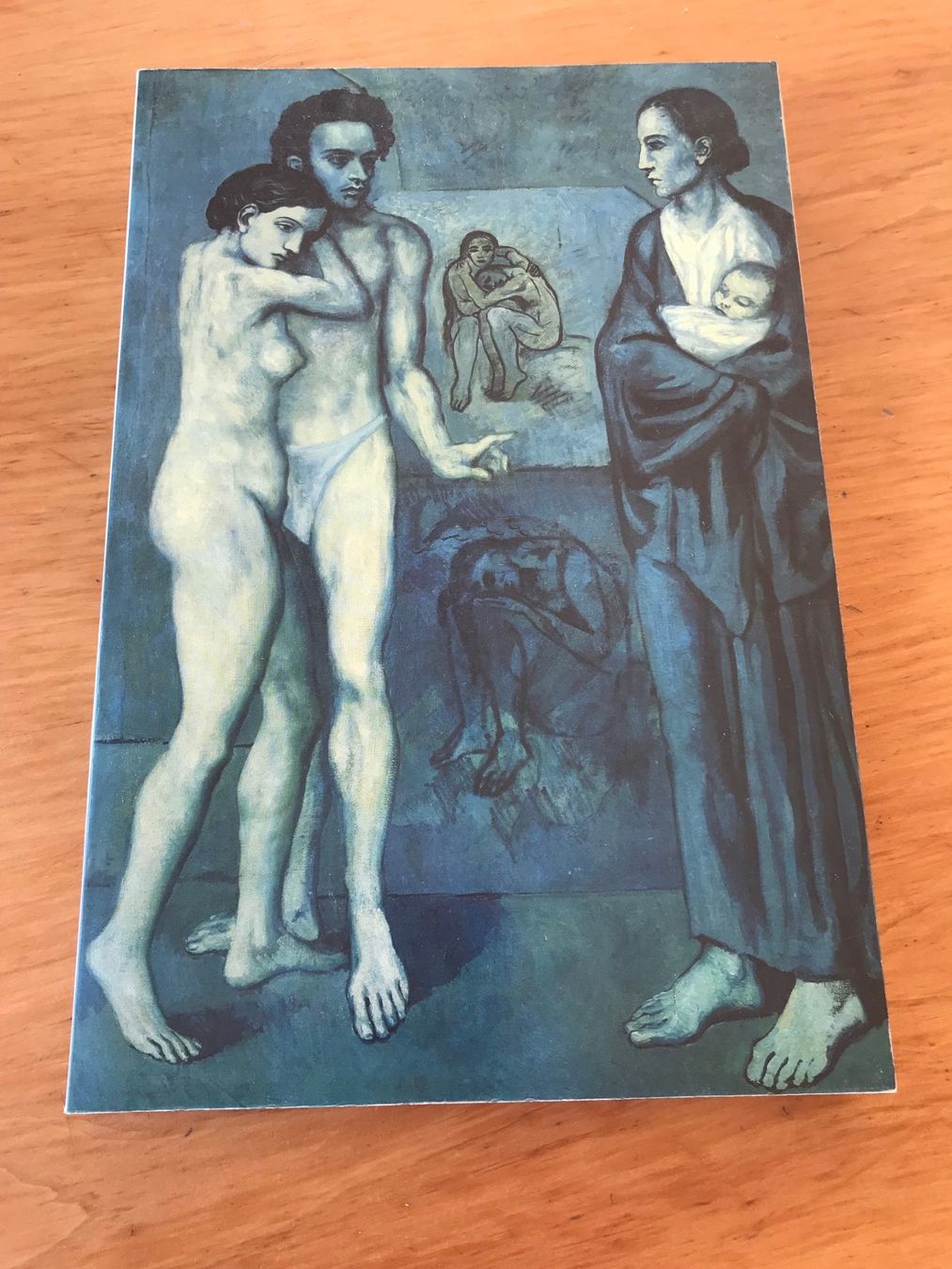 Bücher: Bücher von Picasso drei Stück – Gebraucht aus Luzern von Turmliebe 2