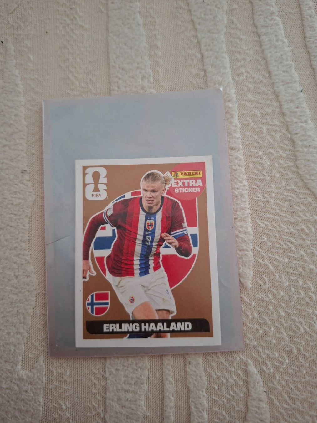 Panini Carte collezionabili: Erling Haaland Panini Extra Sticker – Usato da Bern venduto da rum9