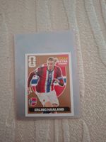 Erling Haaland Panini Extra Sticker