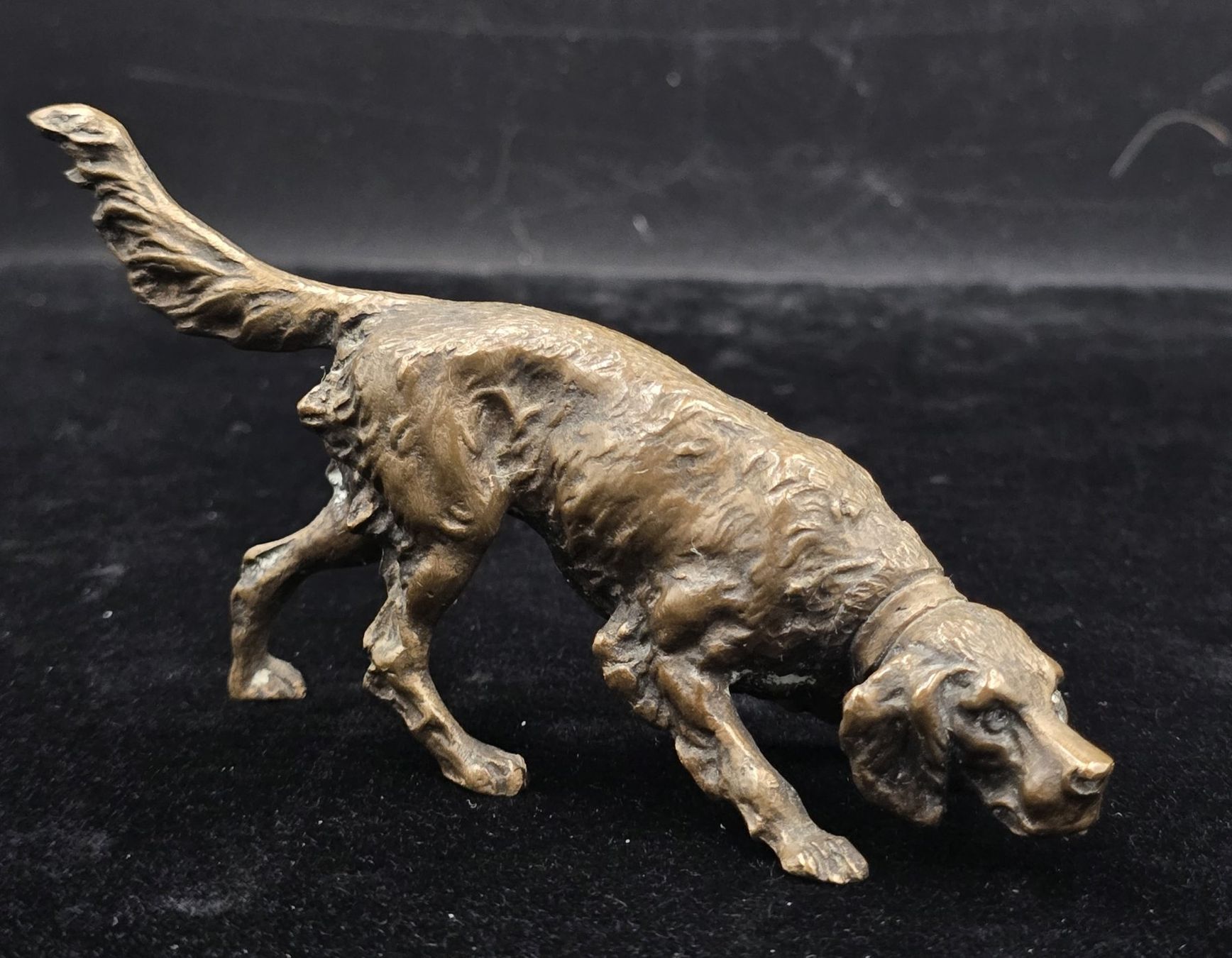 Sculture & Statue: Bronze Skulptur Hund – Usato da Rorschacherberg venduto da snOOpydOg11 2