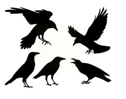 Neues Stanzschablonen-Set Vögel, Raben, Krähen