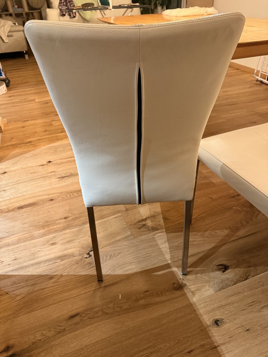 Livique Sedie: Stühle Echtleder Livique – Usato da Nussbaumen AG venduto da noebue_95 2