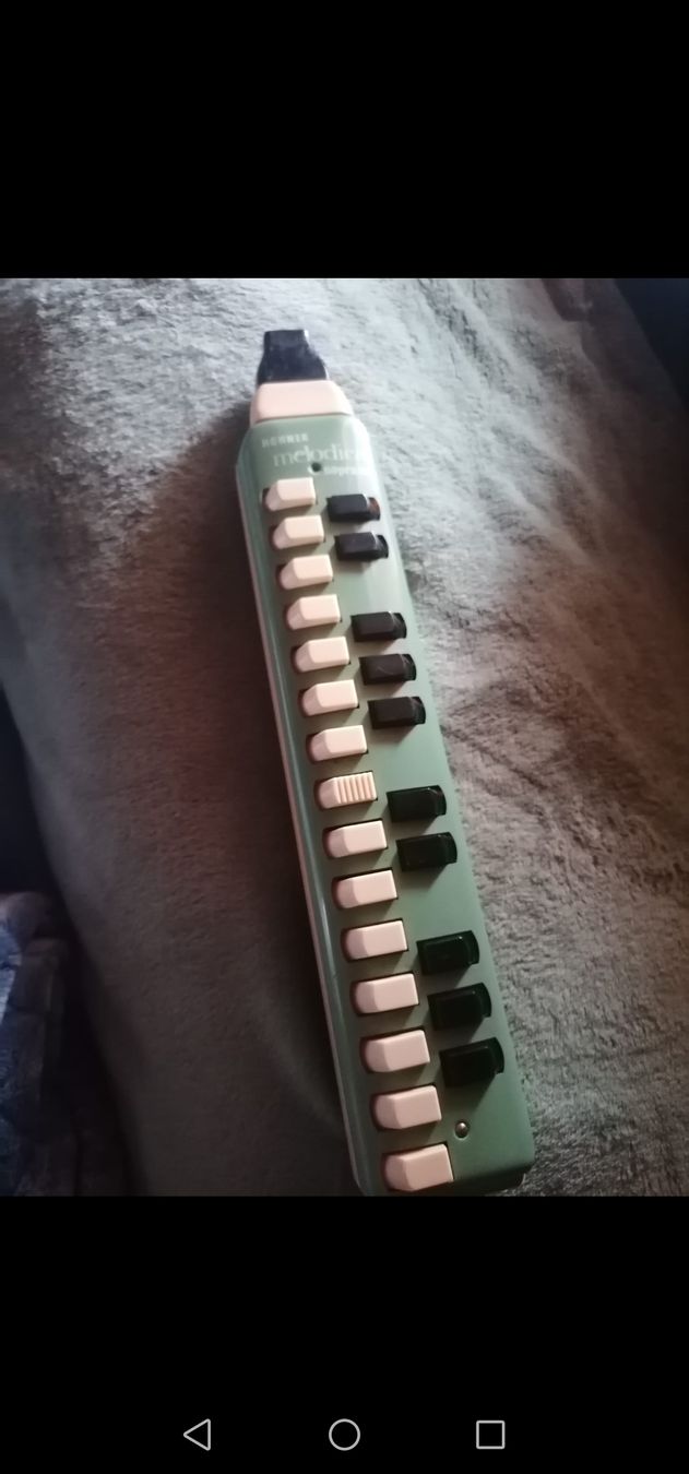 Hohner Strumenti musicali: Gut erhaltene Melodika mit Koffer, – Usato da Boniswil venduto da 1988liringreen 4