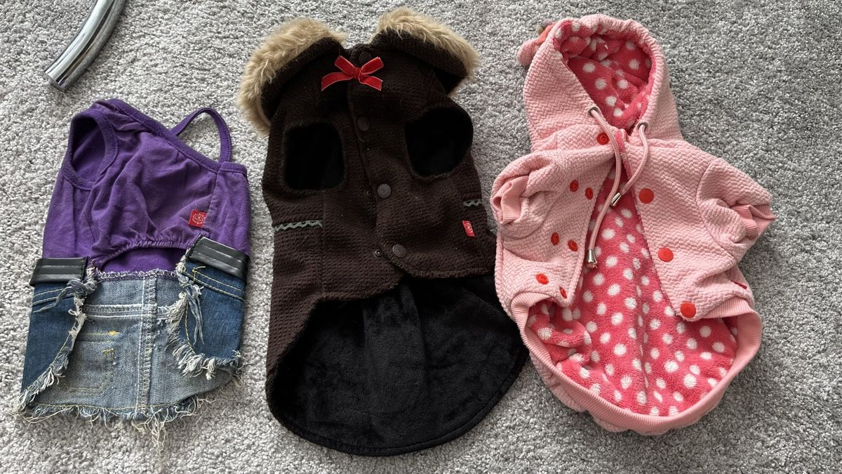 Bekleidung: Kit 3 Kleider für Hunde – Gebraucht aus Wallisellen von S_lb 1