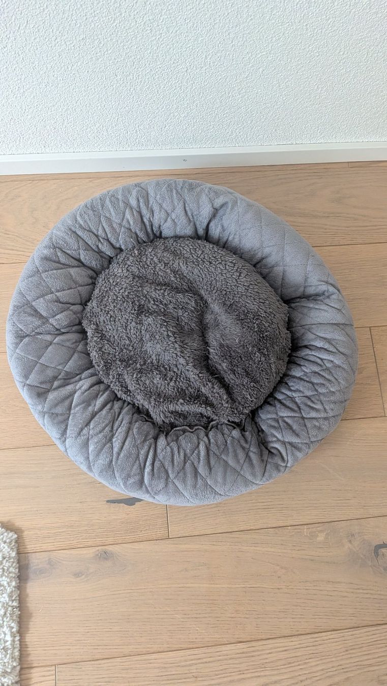 Cucce & Letti: Haustierbett / Pet bed – Usato da Zürich venduto da nik_86zh