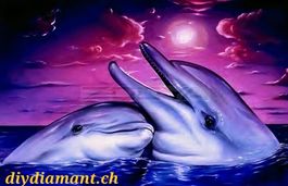 Diamond Painting Delphine-17-20x30-326