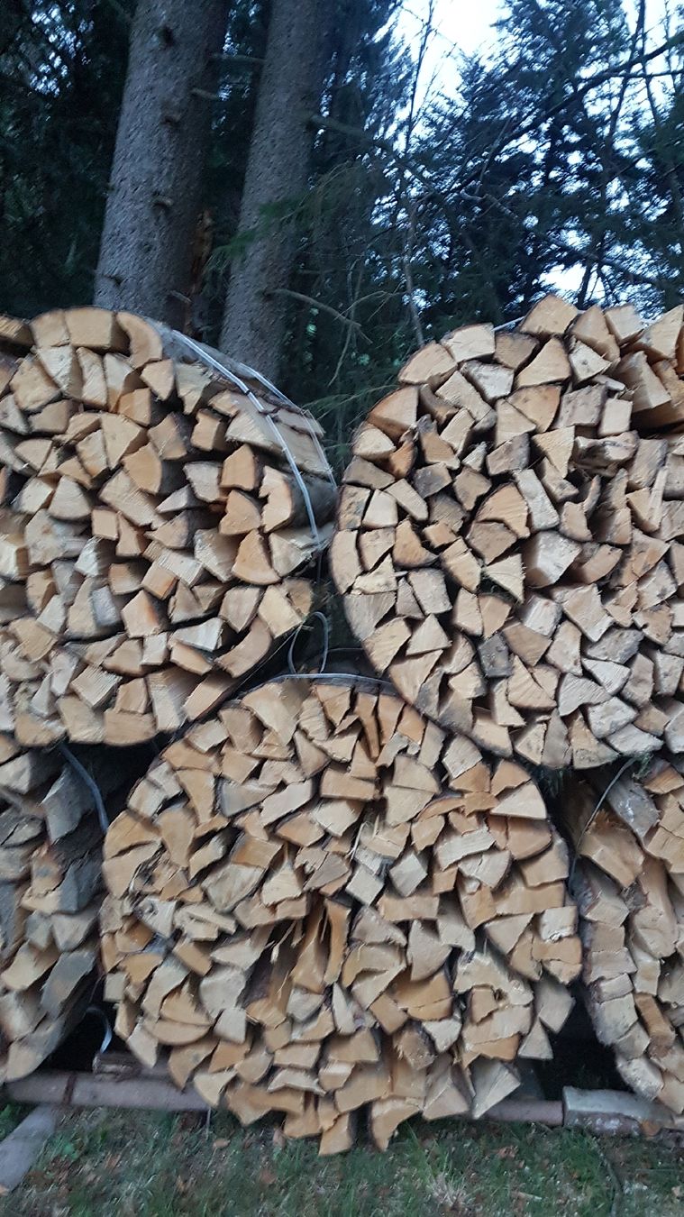 Articles en bois: Brennholz Buche – Neuf avec emballage d'origine à Hundwil par Vario312