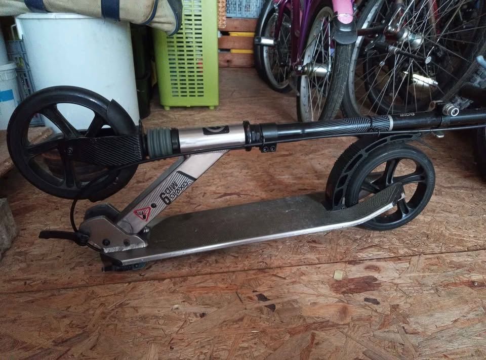 Kickboard: Kickbord – Usato da Bienne venduto da Daniel_Schader 1