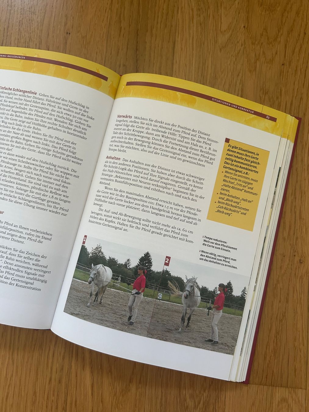 Livres: Bea Borelles Pferdetraining Buch – Neuf avec emballage d'origine à Wabern par belka72 1