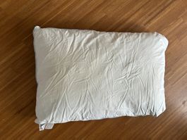 OEKO-TEX Kissen 100 % Cotton, 100 % Entenfedern (Oreiller)