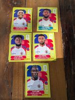 Panini Haiti