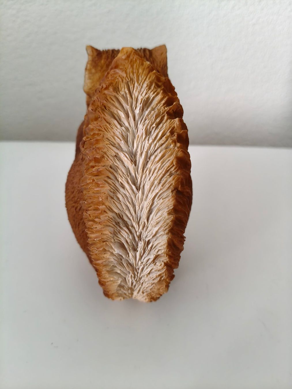Statuette: Herbstdeckoration Eichhörnchen – Nuovo (secondo la descrizione) da Rothrist venduto da Stranglehold 1