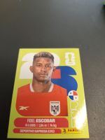 Panini WM 2026, PAN 4, Escobar