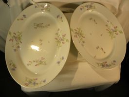 2 sehr schöne ovale Porzellanplatten mit Blumendecor