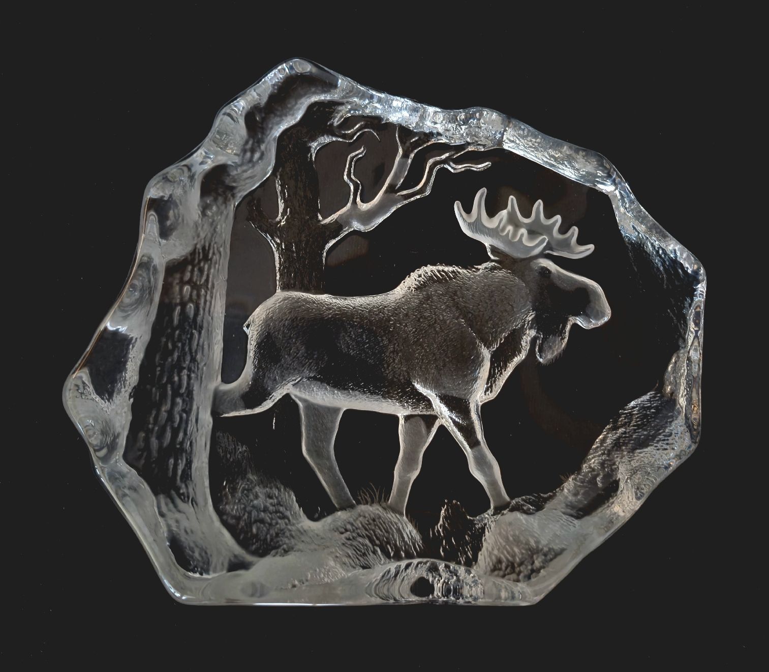 Sculture & Statue: Bull Moose - Crystal Sculpture | 33566 – Nuovo (secondo la descrizione) da Flums venduto da TheNorthMan