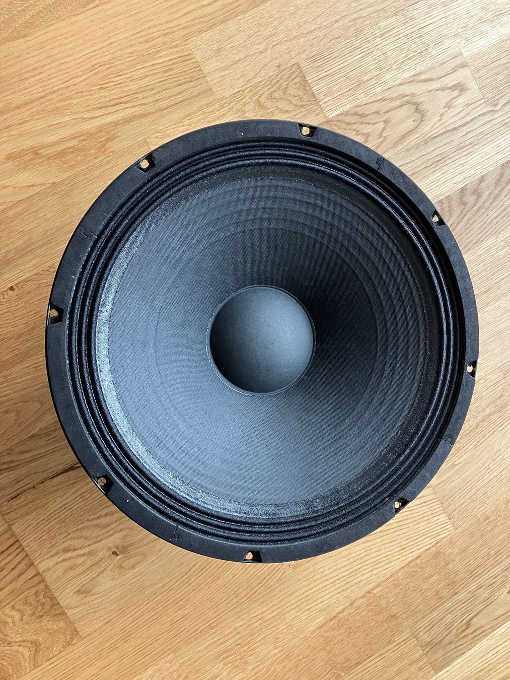 Jensen Casse acustiche: Jensen BASS Punch Speaker 15'' – Usato da Biel / Bienne venduto da Aprad 2