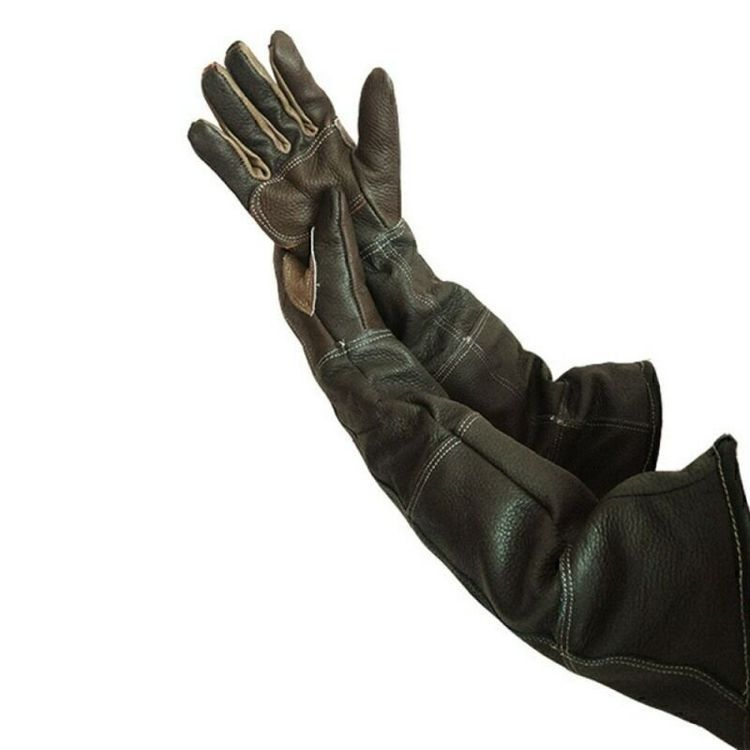 Placeholder Image