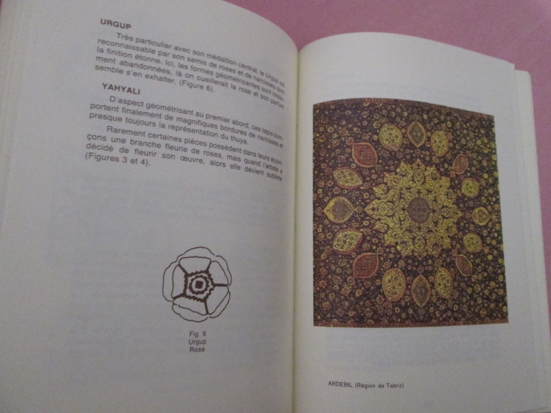 Libri: Les tapis ont une âme – Usato da Neuchâtel venduto da Dualseele 2