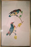 Stich: 2 Vögel und 4-blättriges Kleeblatt