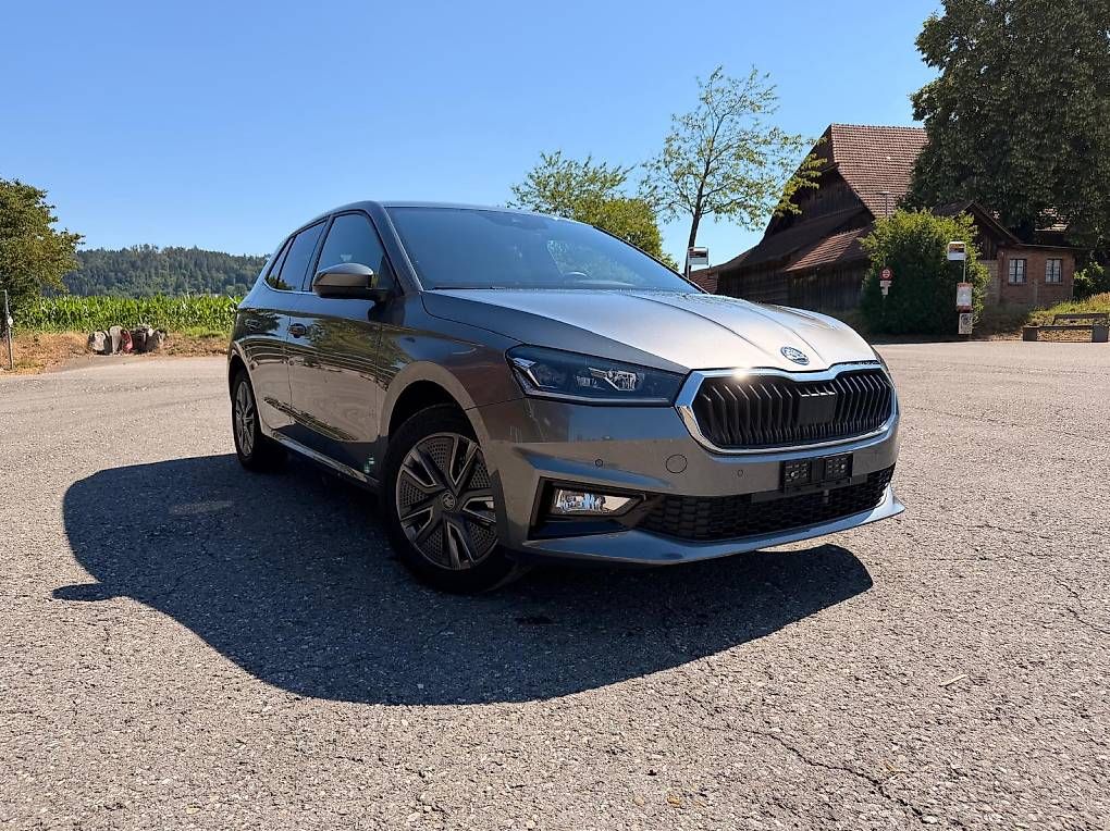 Automobili: Skoda Fabia 1.5 TSI – Usato da Gümligen venduto da Megatroniker