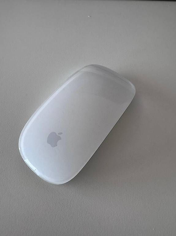 Mouse: Apple Magic Mouse 2 A1657 – Usato da Winterthur venduto da Goldeneye7