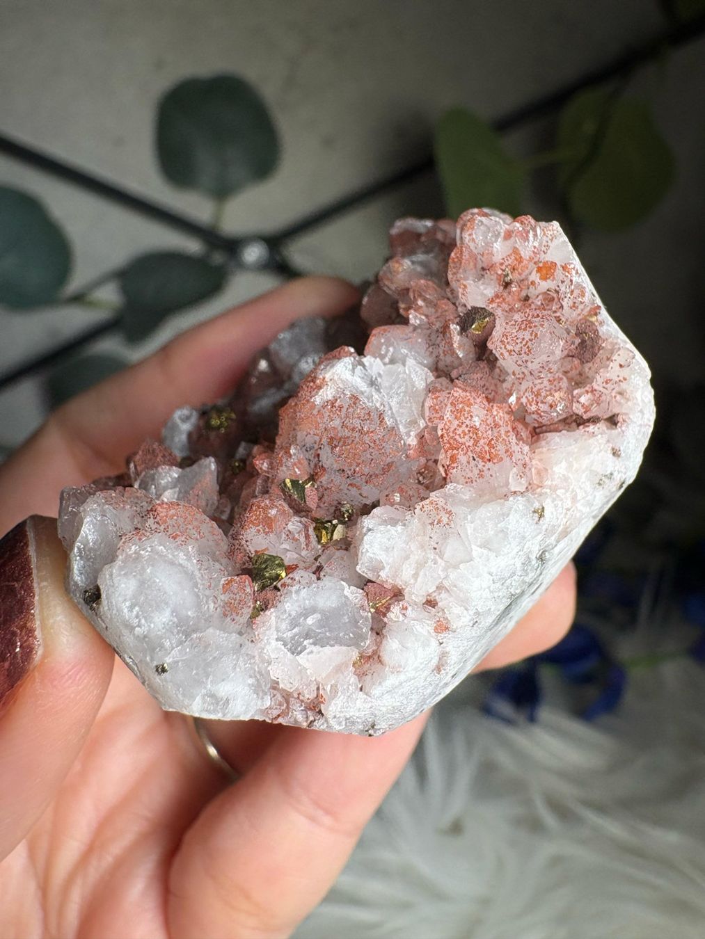 Pietre preziose: Roter Quarz-Cluster mit Pyrit – Nuovo (secondo la descrizione) da Neuheim venduto da m.hald 4