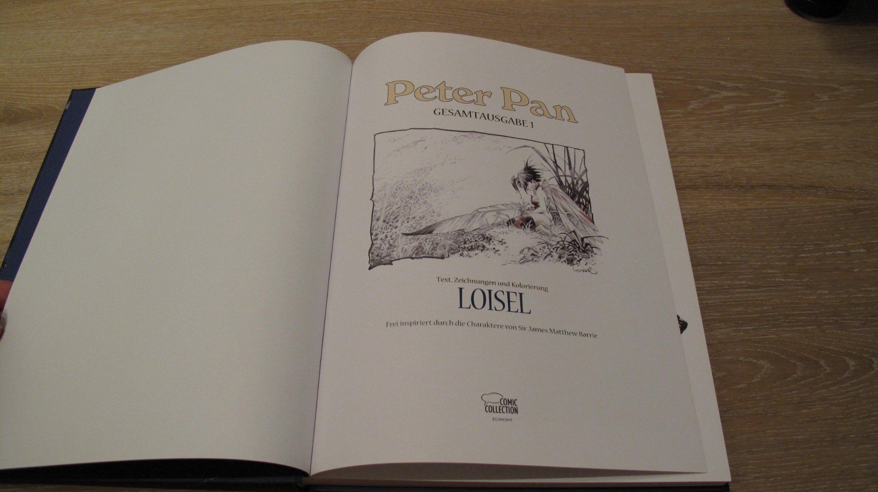 Fumetti: Peter Pan - Gesamtausgabe 1 – Usato da Berg TG venduto da Volker-Kampfgarten 1