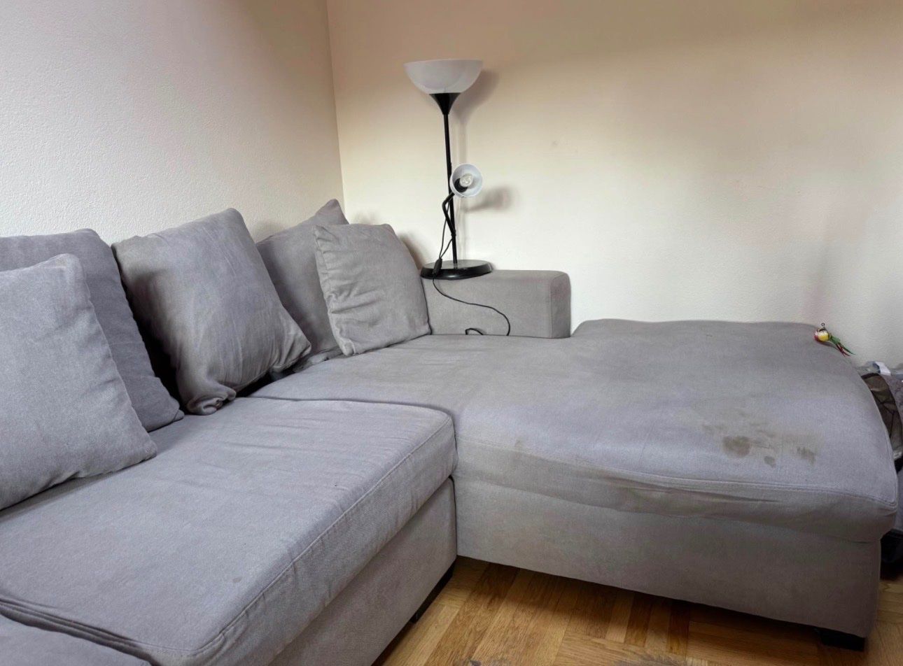 Divani: Gratis Sofa – Usato da Bertschikon venduto da iri_2dxx