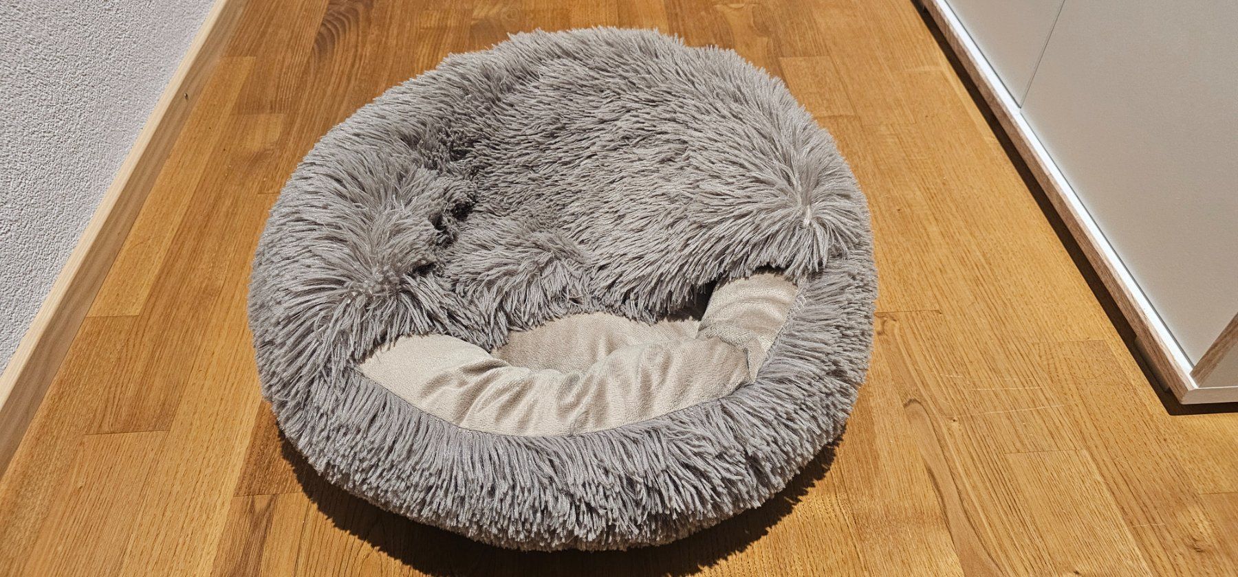 Letti: Katzenbett rund Plüsch neu – Nuovo (secondo la descrizione) da Rorschach venduto da Eni_f96b