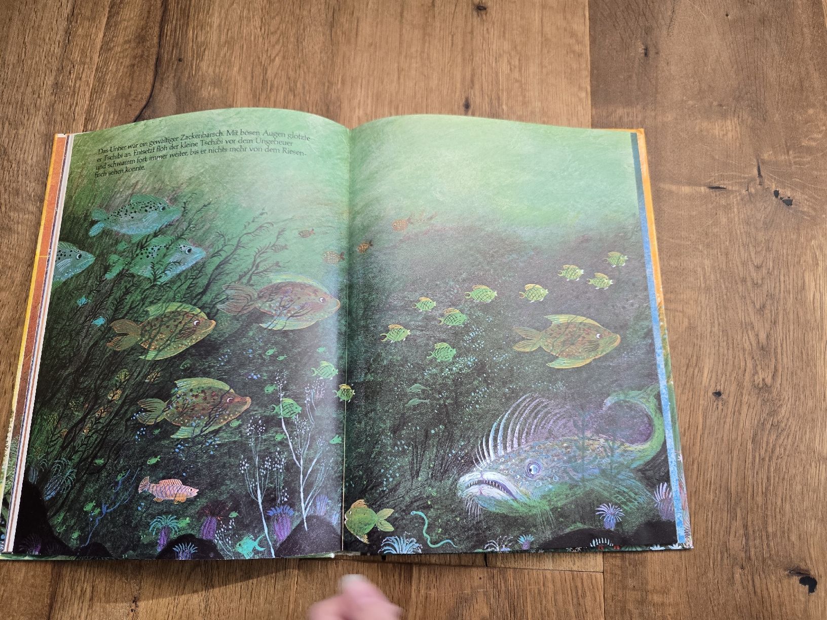 Libri: Tschibi und das grosse Meer - Gerda Marie Scheidl, – Usato da Wittenbach venduto da Tigerlili 6