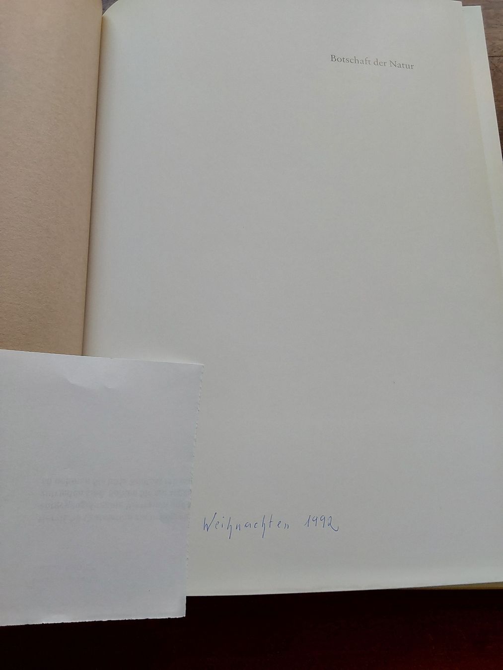 Bücher: Mili Weber mit 110 Seiten. – Gebraucht aus Steinach von Chilli1957 1