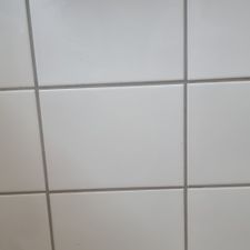 Profile image of Domiburk
