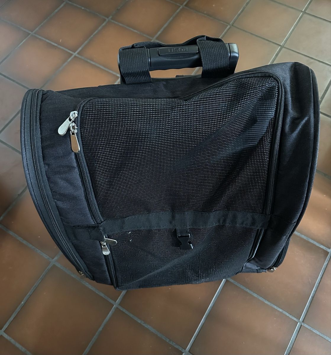Borse: Hunde- oder Katzentransporttasche – Usato da Bern venduto da Maria003 4