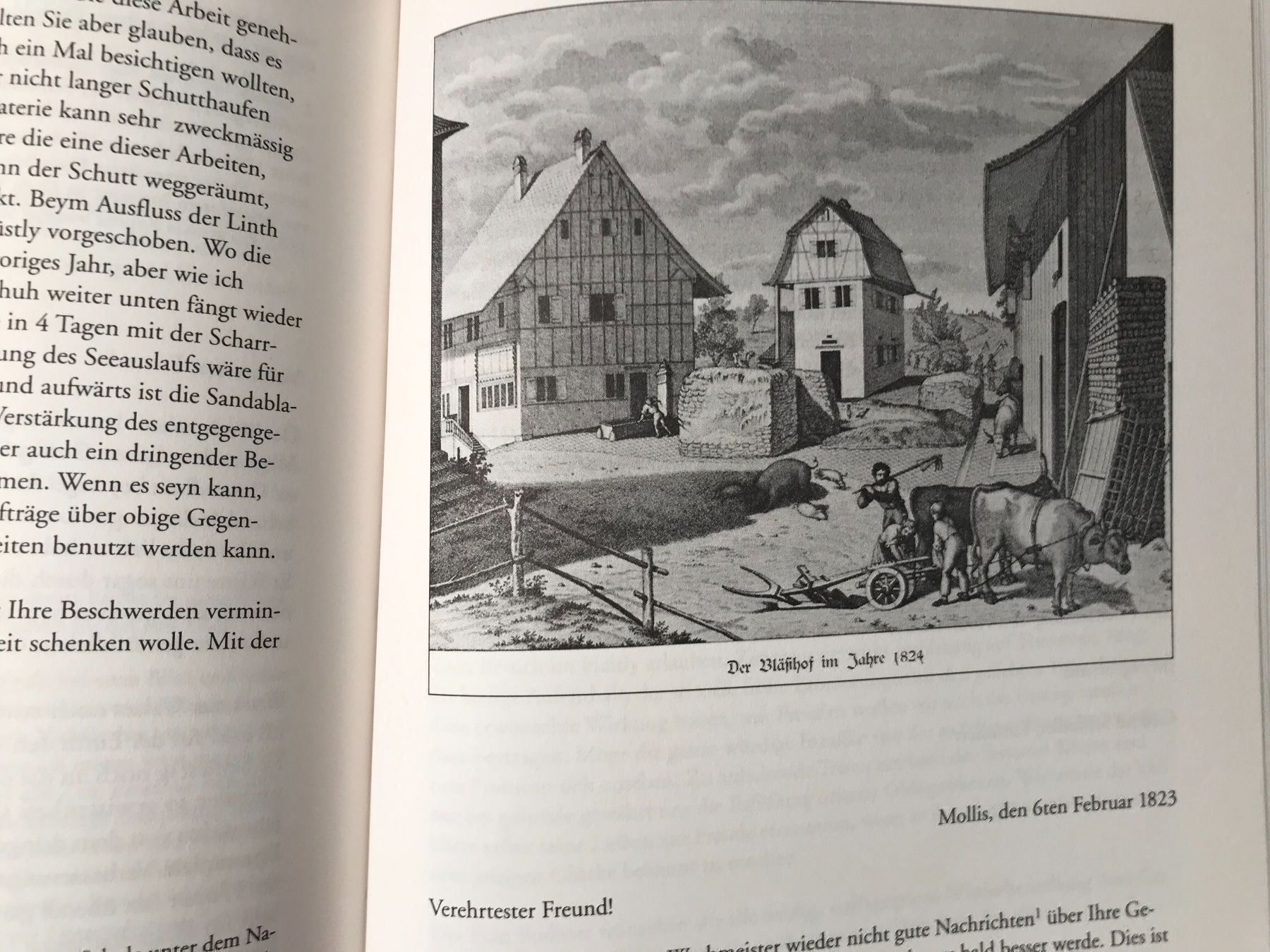Libri: Buch Schindler, Escher und das Haltly – Usato da Näfels venduto da fritzjk 4