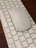 Apple Magic Mouse und Tastatur, Top Zustand für Herbst