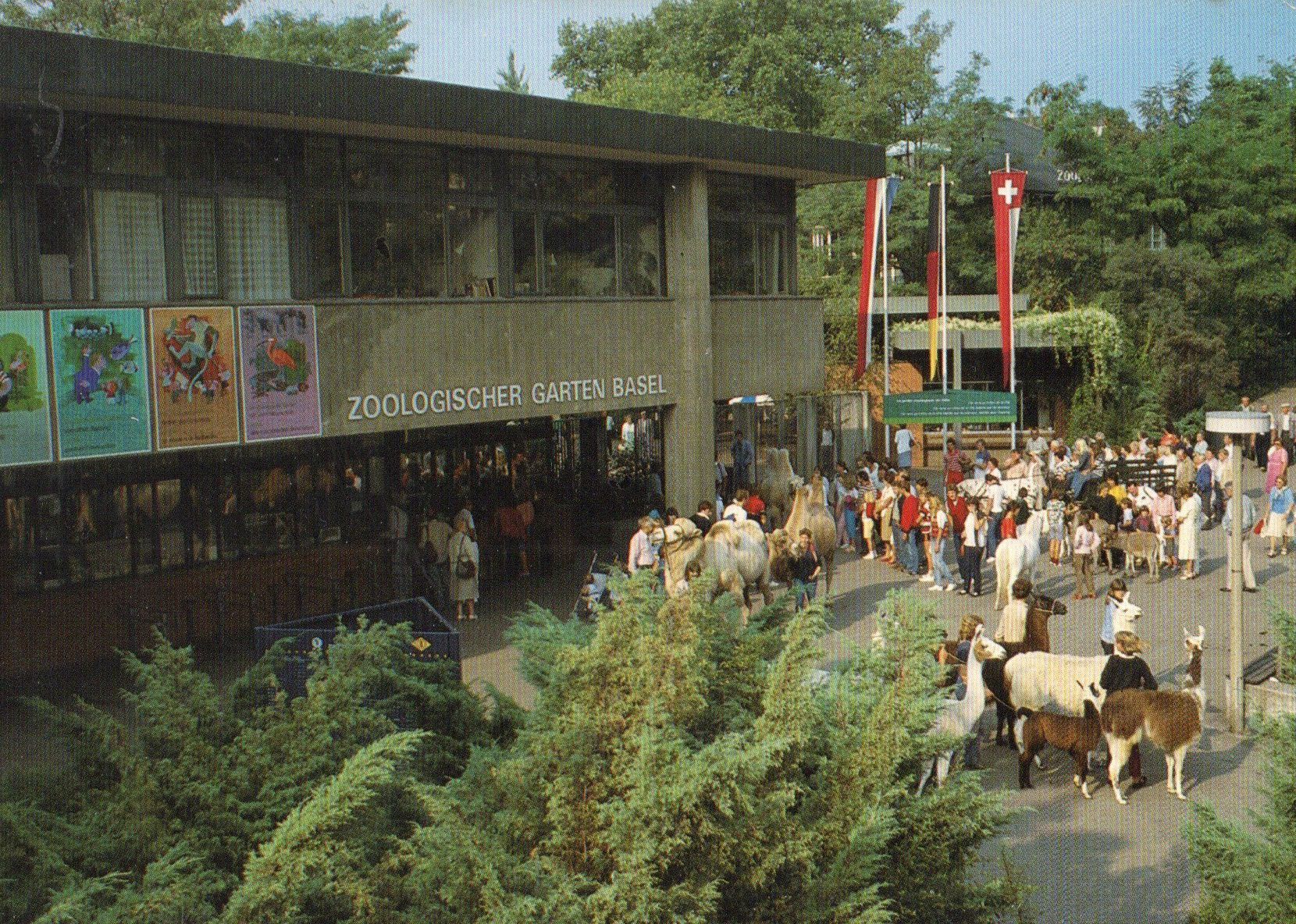 Cartoline postali: Basel - Zoologischer Garten – Usato da Melano venduto da pisonsdro