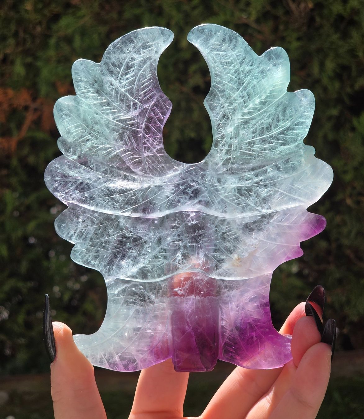 Minerali & Pietre curative: Fluorit Seraphim Engel 442g – Nuovo e nell'imballaggio originale da Matzingen venduto da Shay_Crystalz 1