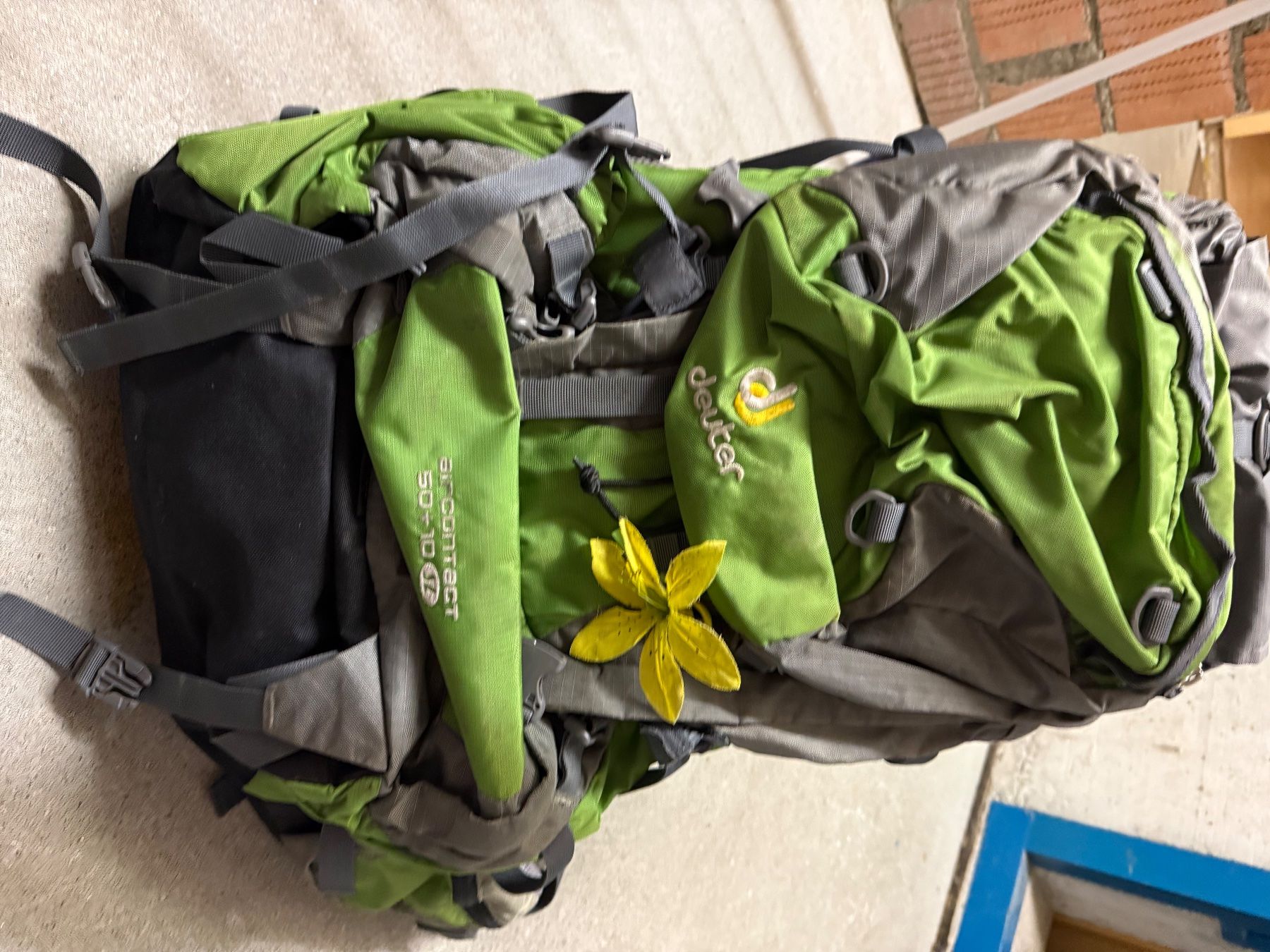 Rucksäcke: Deuter Rucksack – Gebraucht aus Grindelwald von isc_c8qy