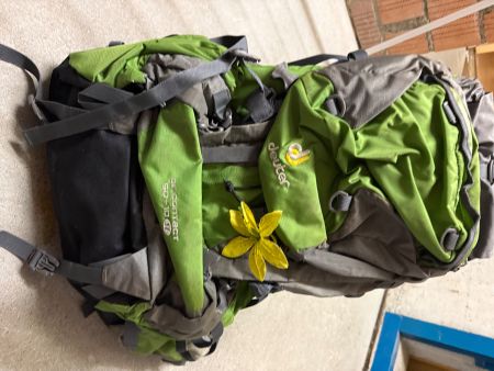Deuter Rucksack
