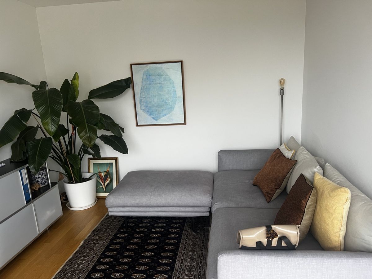Bolia Divani: Bolia Lomi 2.5 seater Sofa with Pouf – Usato da Zürich venduto da smu_d7vh 3