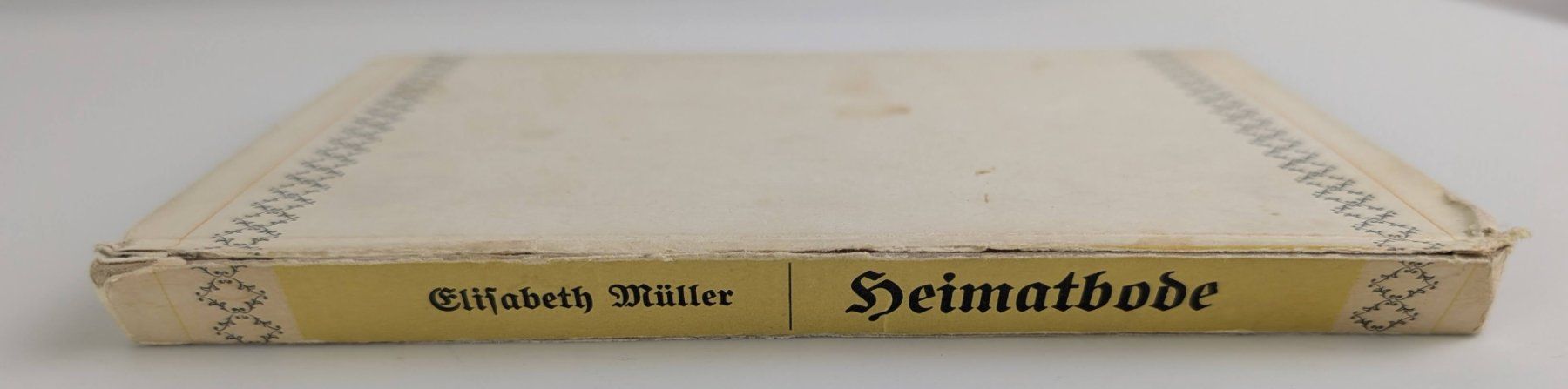 Libri: Heimatbode, Elisabeth Müller, Bärndütschi Gschichte, Bern – Usato da Zürich venduto da 1.Simon 2