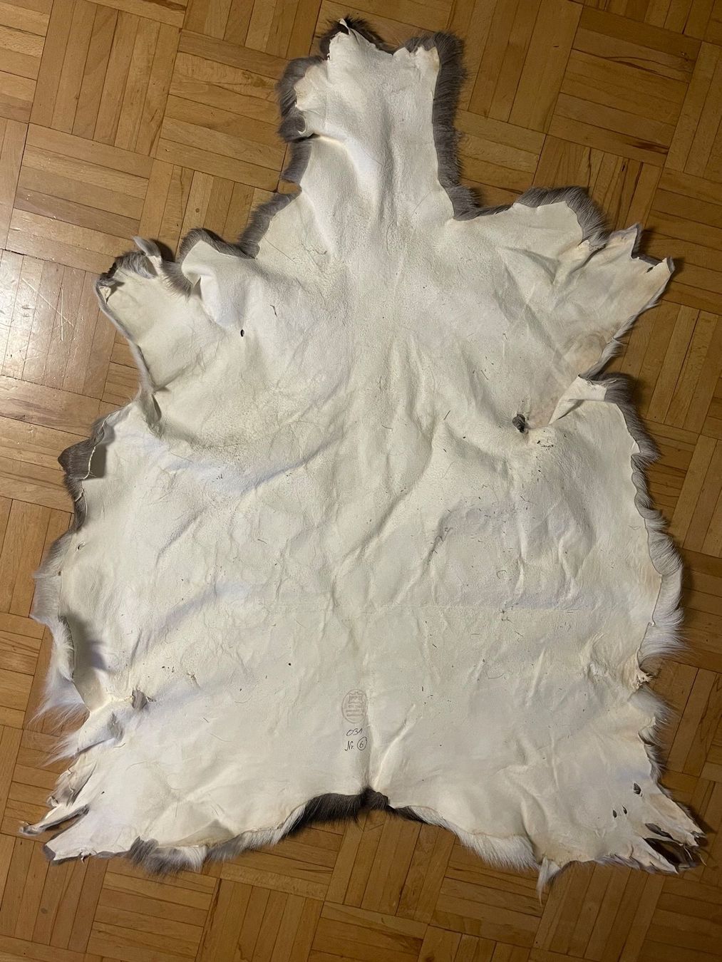 Coperte: Hirschfell vom Sikahirsch – Nuovo (secondo la descrizione) da Gunzgen venduto da sinafue
