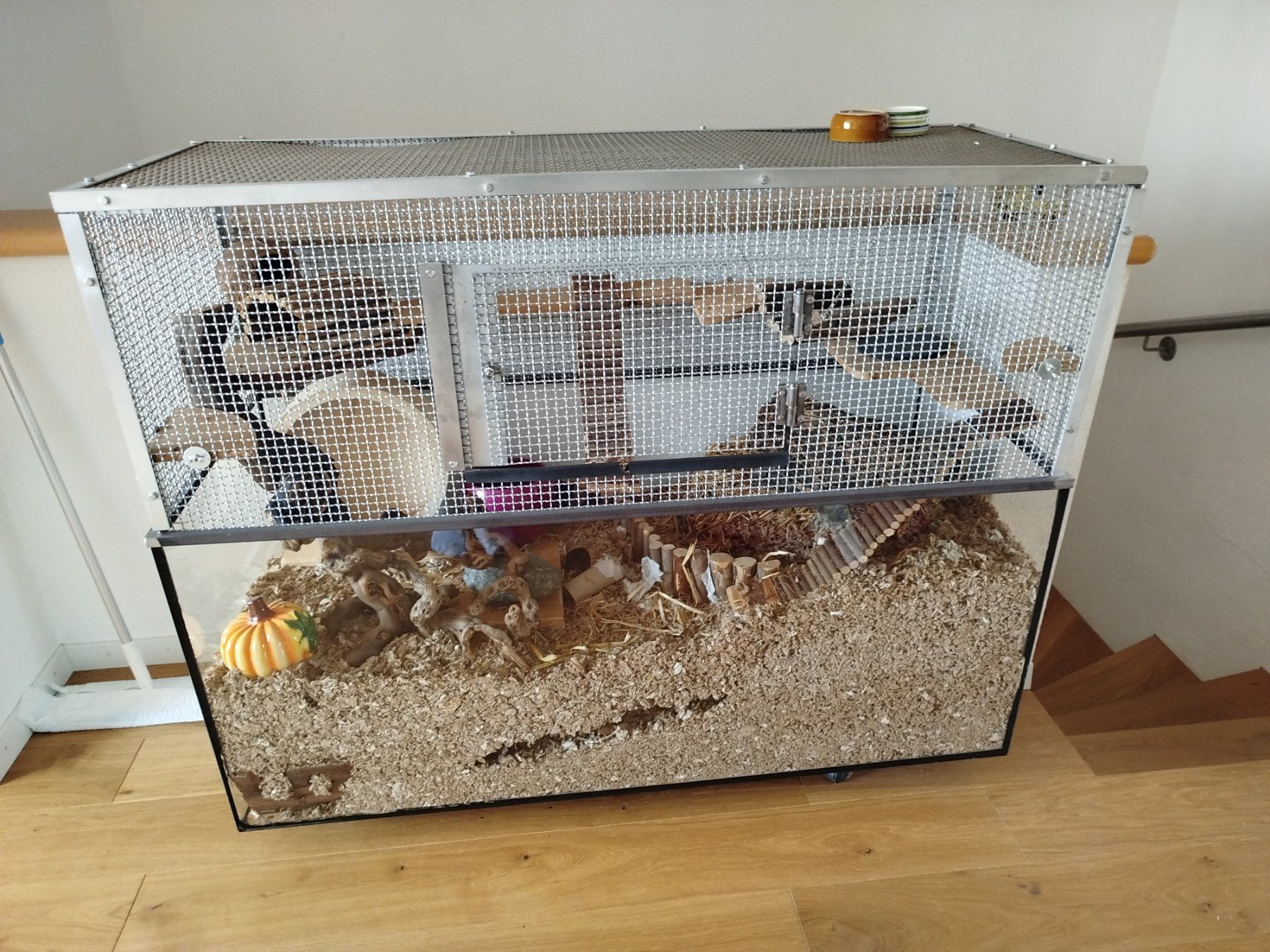 Terrariums: Nagarium – D'occasion à Einsiedeln par viv_2pgm 1