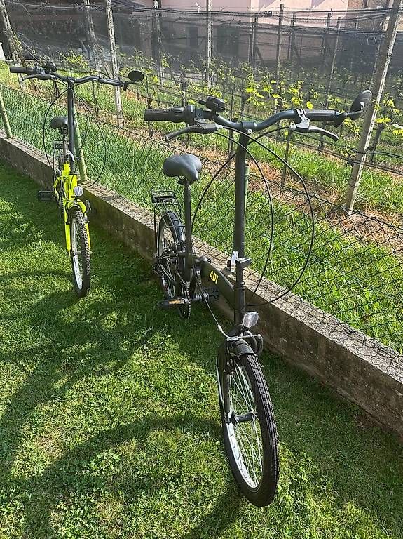 Biciclette: Biciclette pieghevoli – Usato da Arbedo venduto da dil_r78z 4