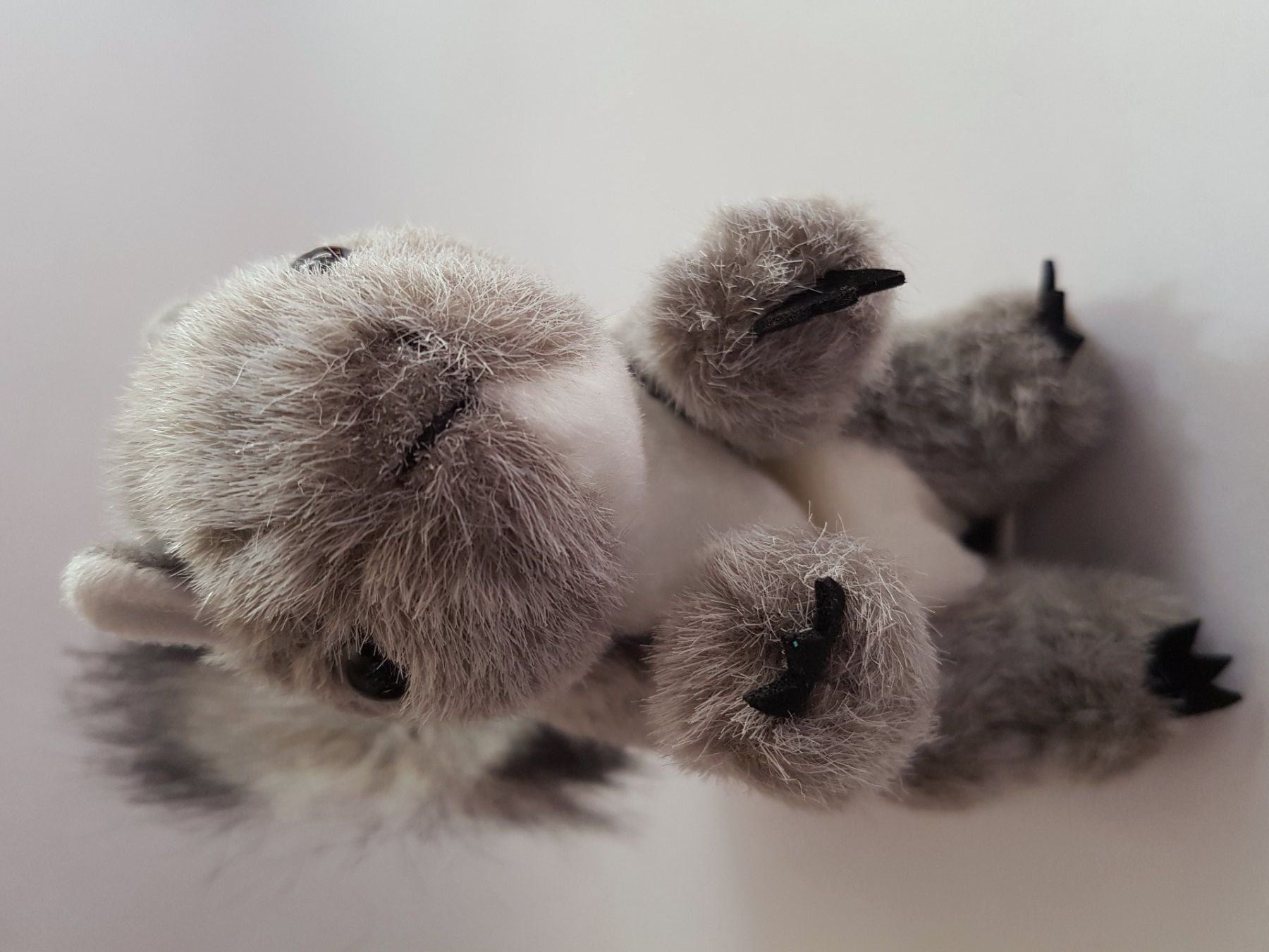 Bambole: FOLKMANIS: Fingerpuppe Eichhörnchen  / NEU – Nuovo e nell'imballaggio originale da Dürrenäsch venduto da Didaedi 3