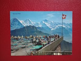 Schynige Platte Aussicht von der Hotel Terrasse stark belebt