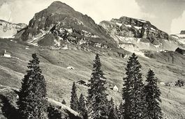 UNTERIBERG Käsernalp mit Drusberghütte - Stempel Hütte