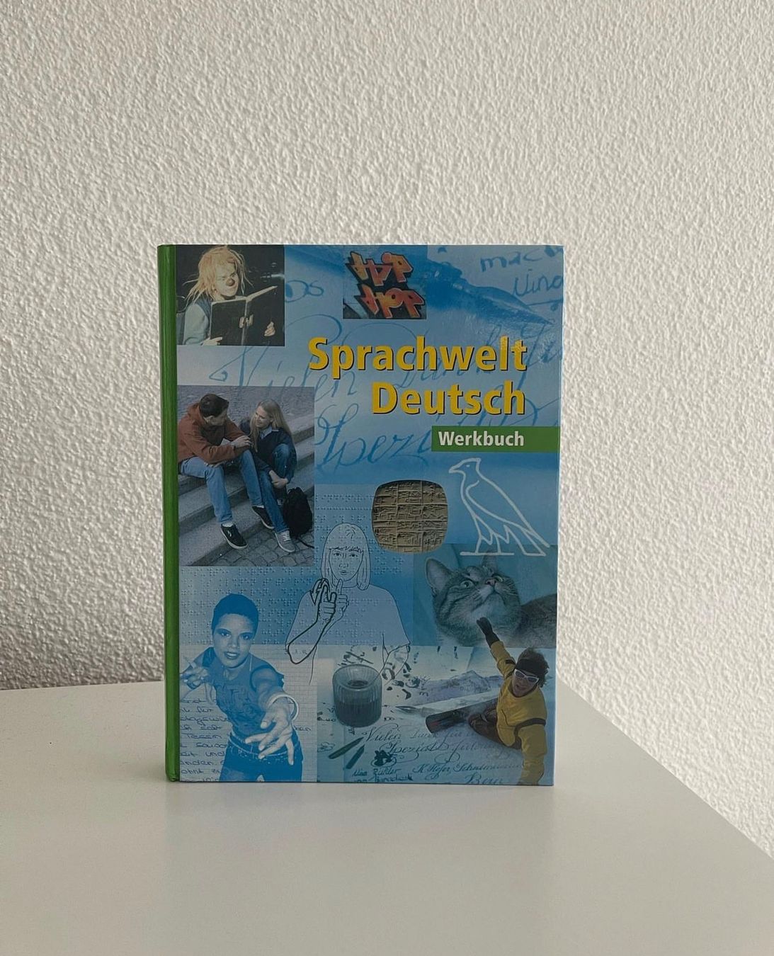 Libri: Sprachwelt Deutsch (Werkbuch) – Usato da Neuenegg venduto da aba_g85b