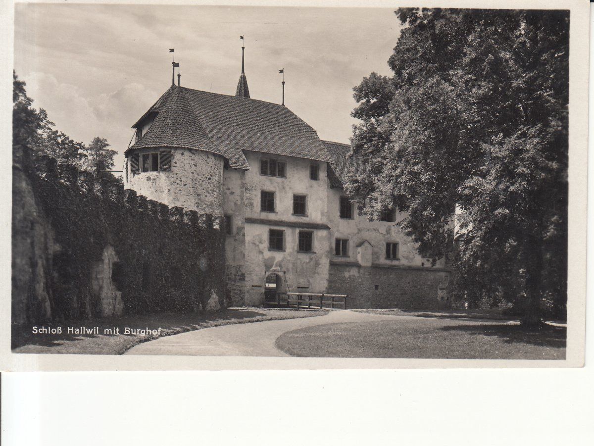 Cartoline postali: Hallwil ca. 1930 – Usato da Bürglen TG venduto da StampGraf