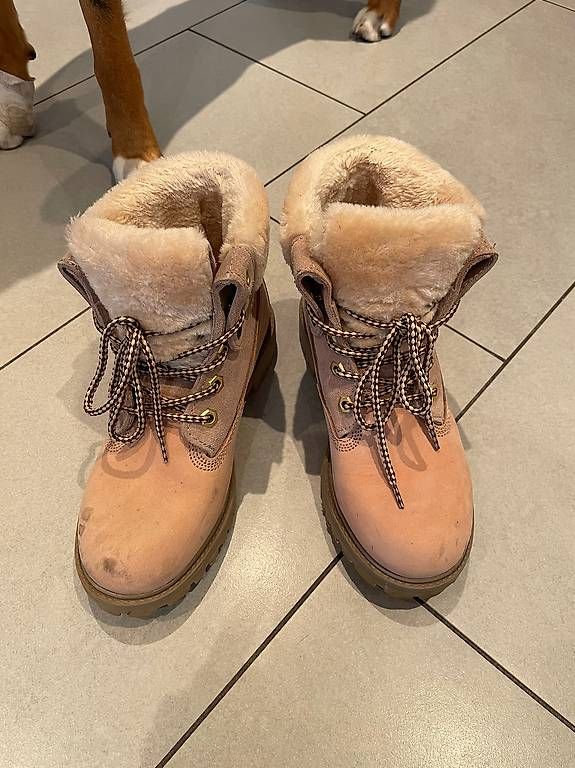 Scarpe da donna: Schnürboot  – Usato da Wabern venduto da Jess_Studer